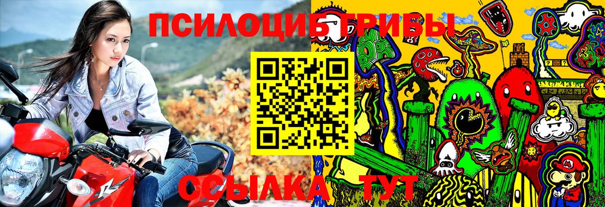 Псилоцибиновые грибы мухоморы  Вход с VPN  Лесной 